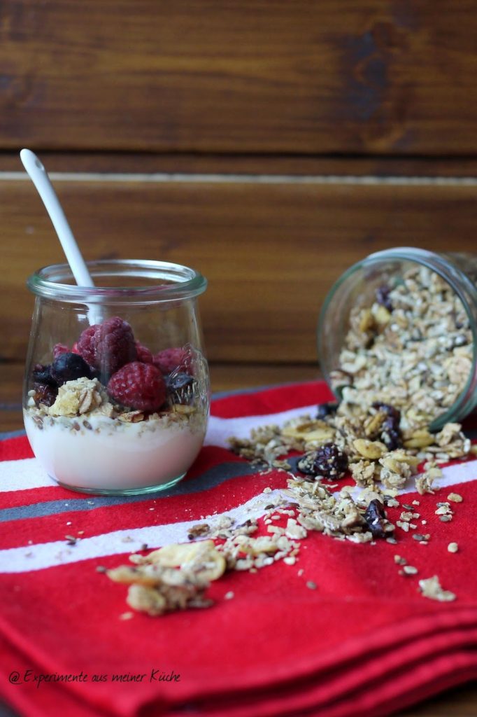 Experimente aus meiner Küche: Knuspermüsli mit Cornflakes, Cranberries und Kern-Mix