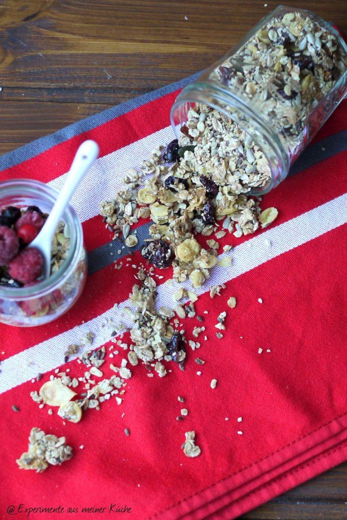 Experimente aus meiner Küche: Knuspermüsli mit Cornflakes, Cranberries und Kern-Mix