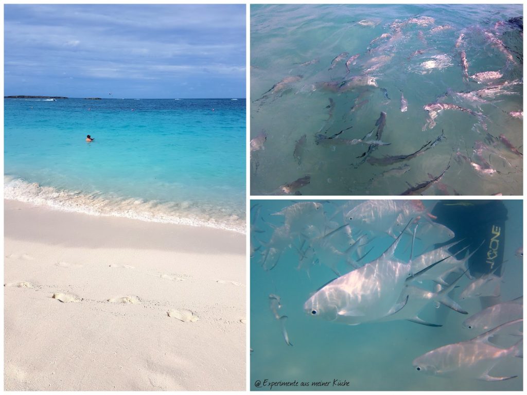 Florida - Bahamas - Paradise Beach {EamK on Tour}