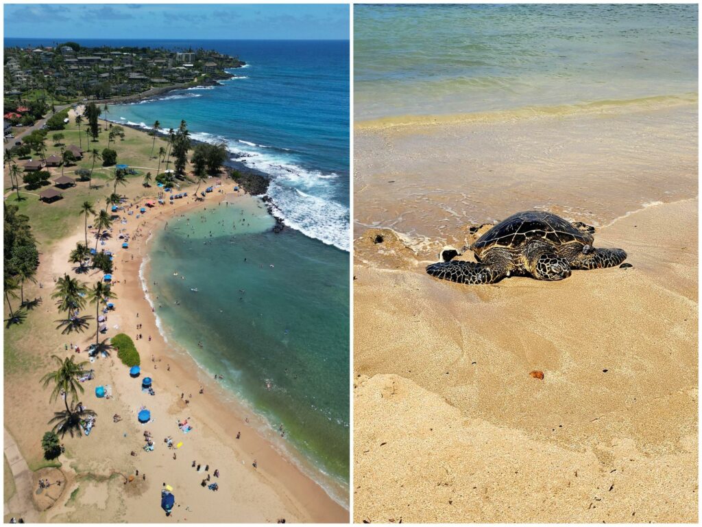 Kauai Poipu Beach