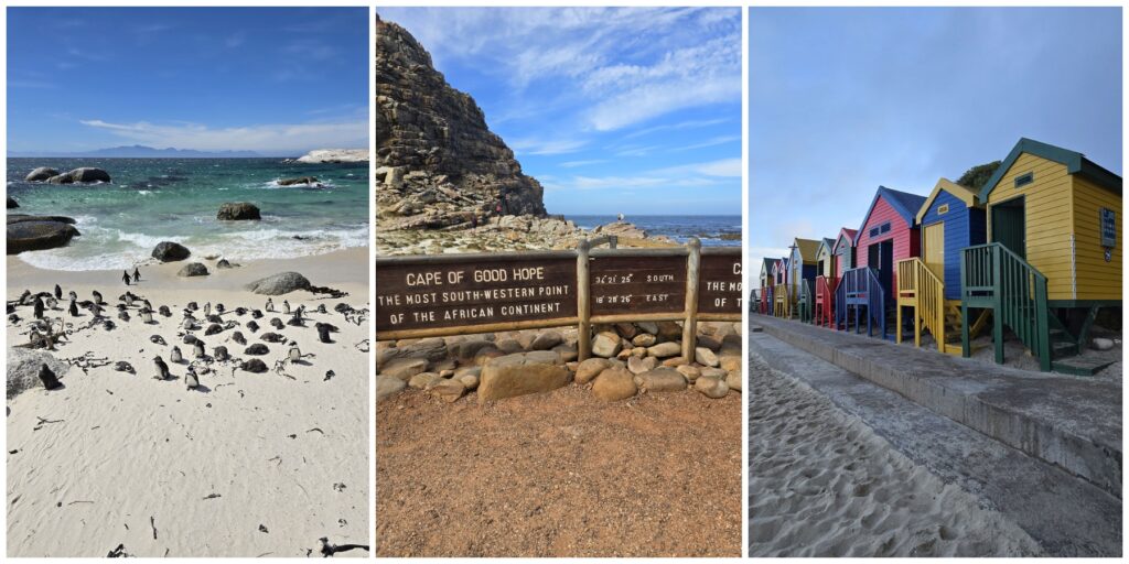 Kapstadt in Südafrika: Boulders Beach, Kap der guten Hoffnung, St. James Beach