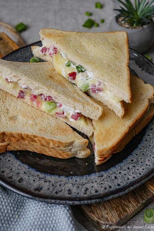 Flammkuchen Toast Rezept