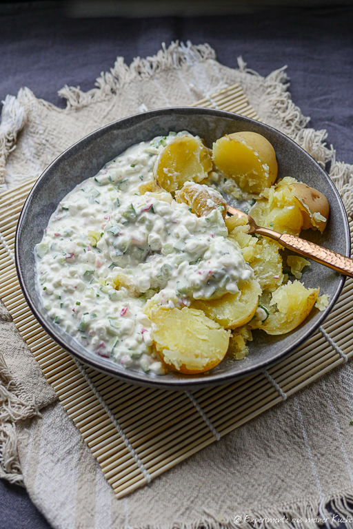 huettenkaese-dip-mit-radieschen-und-gurke